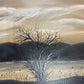 Artwork | Joanne Dawson